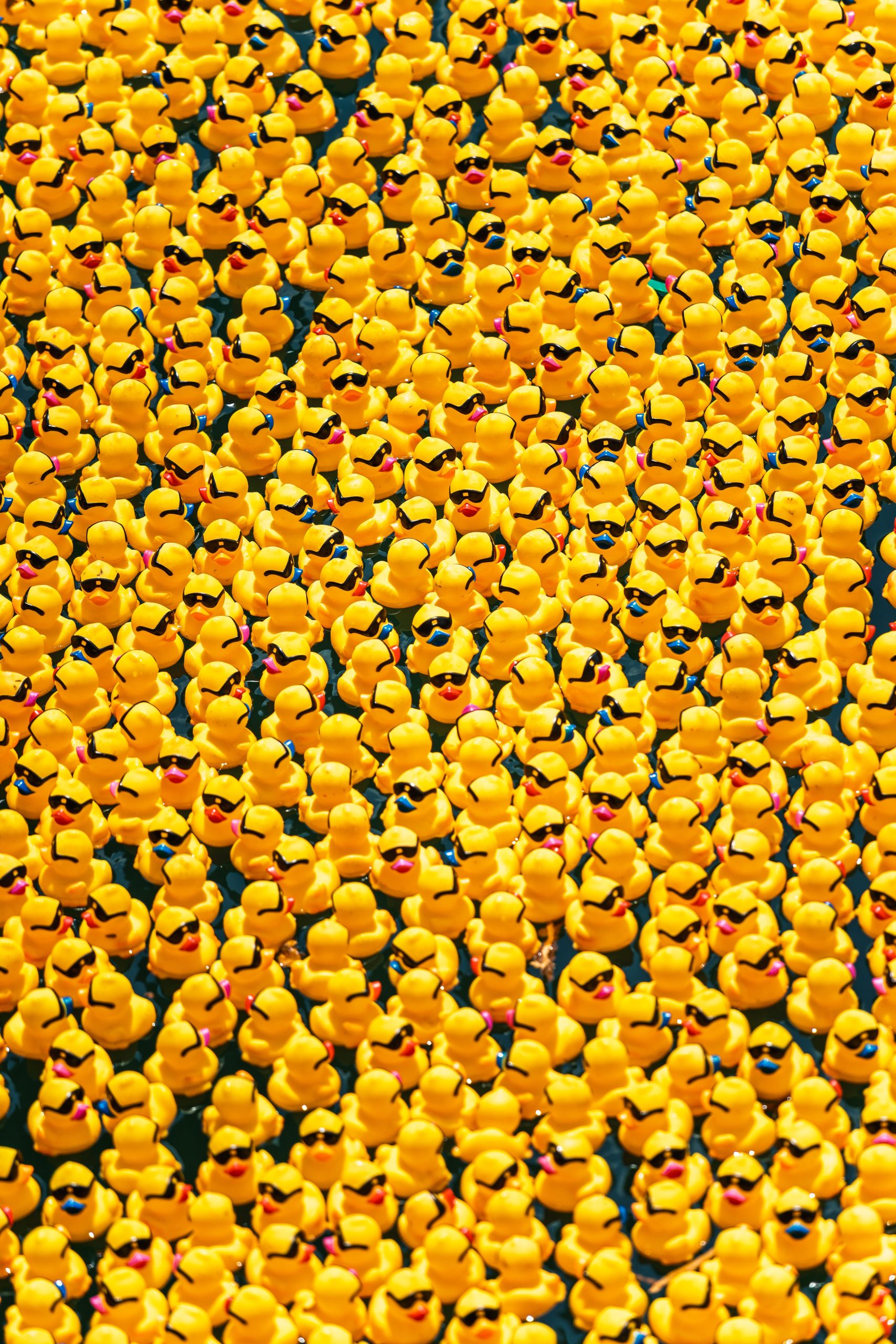 Bac de pêche au canard fabrication soi-même