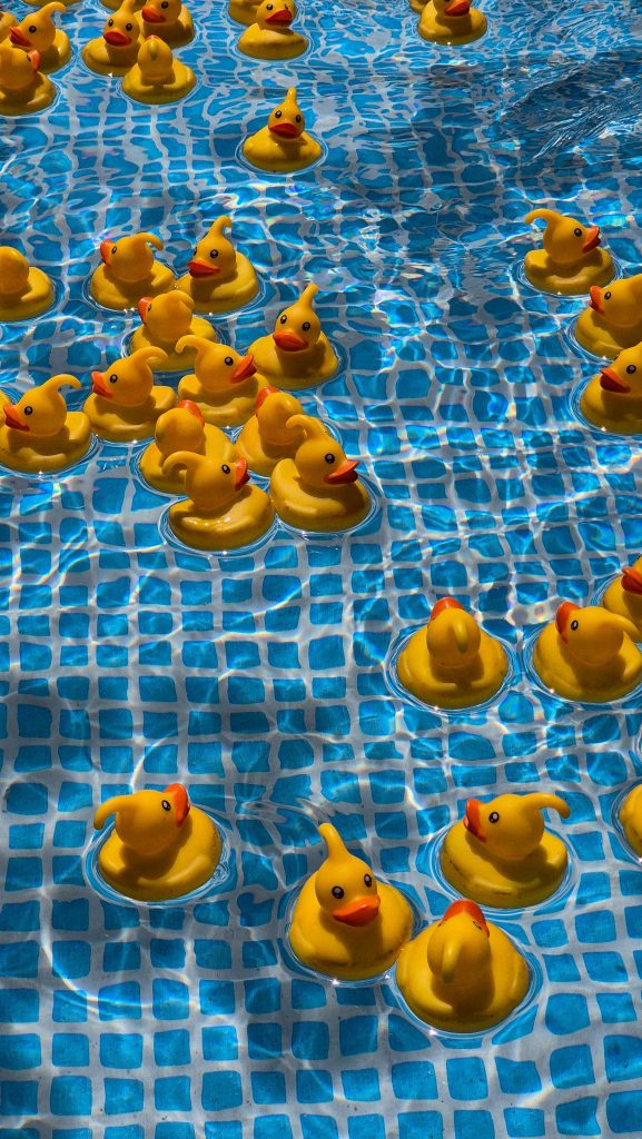 Comment fabriquer un bac de pêche au canard soi-même ?