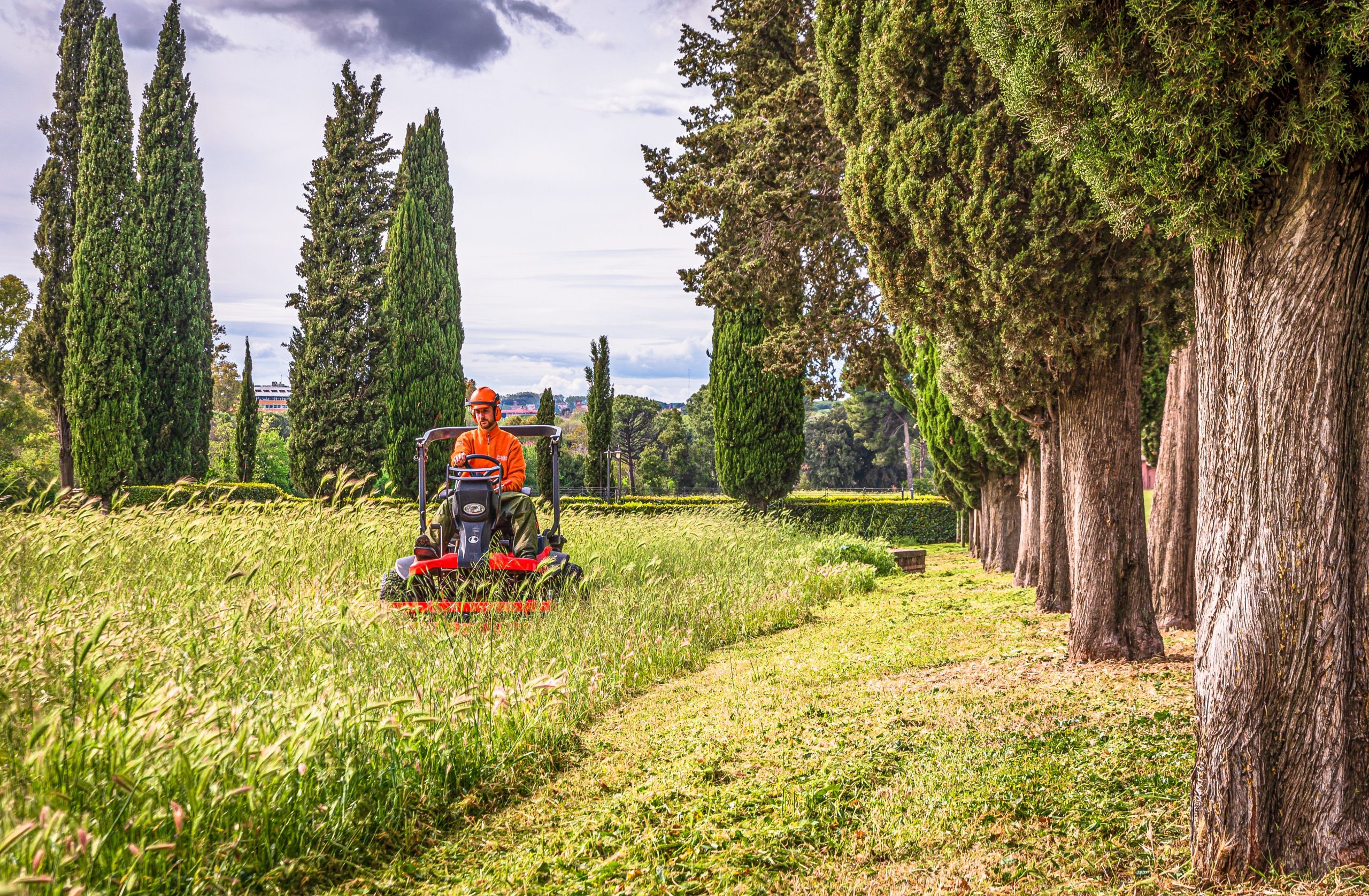 Homme tondeuse paysage italien cyprès