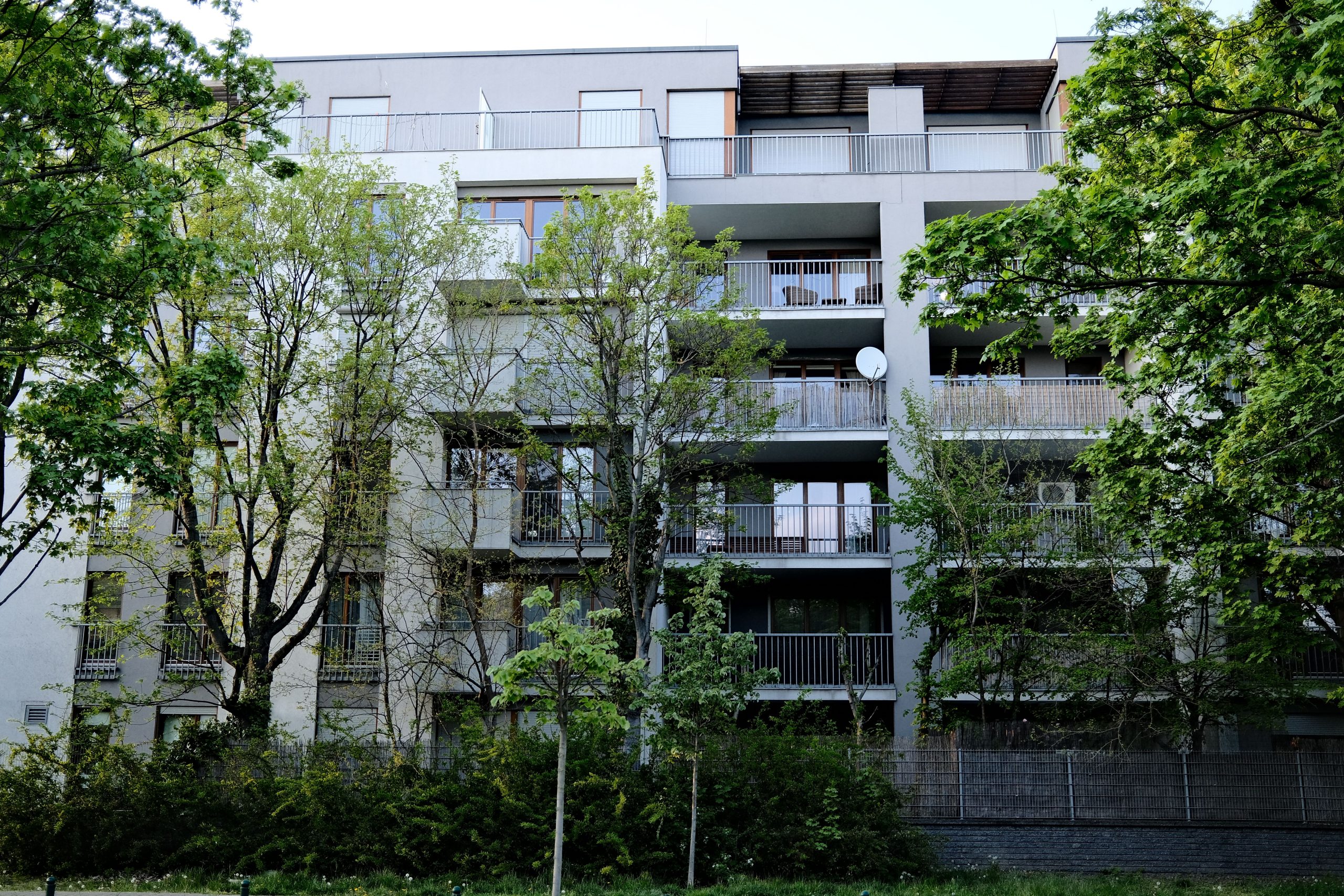 Immeuble appartements moderne entouré verdure luxuriante