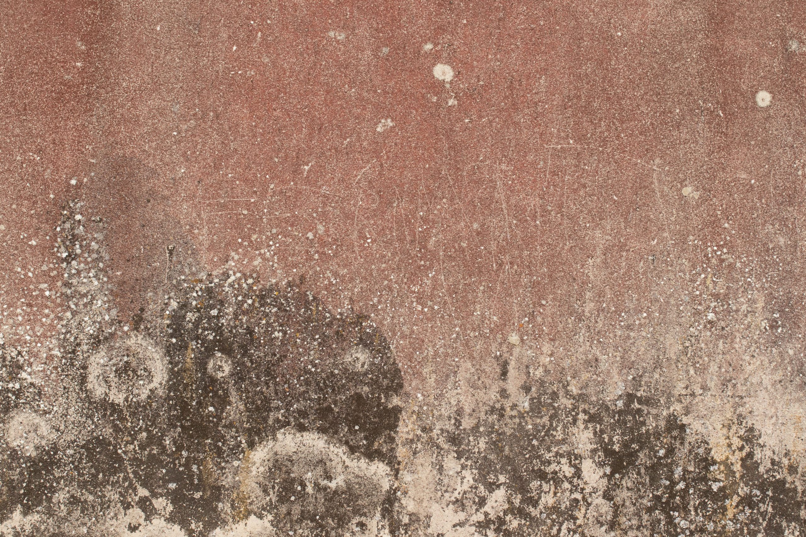 Mur texturé et usé révélant signes de dégradation